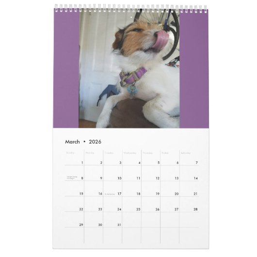 Jackrussell Kalender (Mär 2026)
