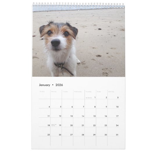 Jackrussell Kalender (Jan 2026)