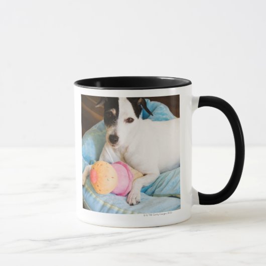 Jackrussell-Terrier, der sich hinlegt Tasse (Rechts)