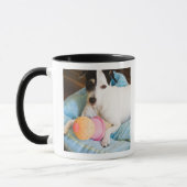 Jackrussell-Terrier, der sich hinlegt Tasse (Links)