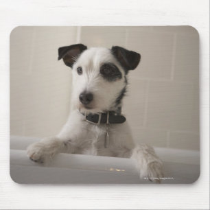 Jackrussell-Terrier Mousepad