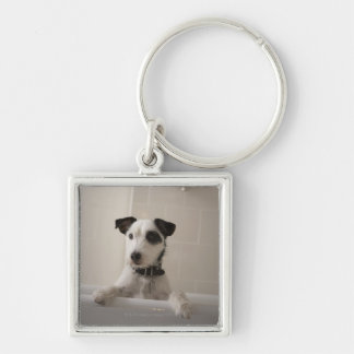 Jackrussell-Terrier Schlüsselanhänger