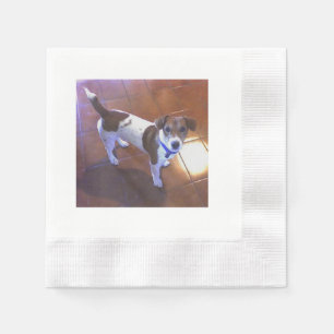 Jackrussell-Terrier volles 2.png Serviette