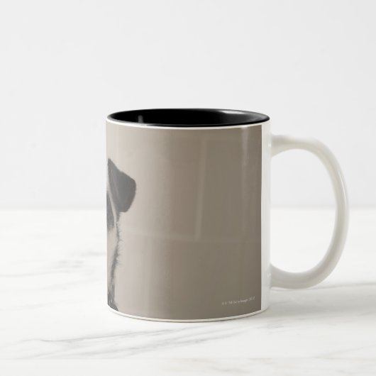 Jackrussell-Terrier Zweifarbige Tasse (Rechts)