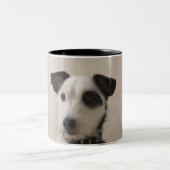 Jackrussell-Terrier Zweifarbige Tasse (Mittel)