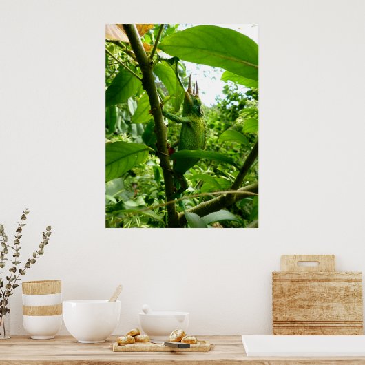 Jackson Chameleon Poster (Küche)