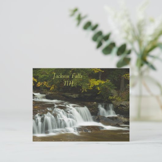 Jackson Falls, NH Postcard Postkarte (Stehend Vorderseite)