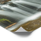 Jackson Falls, NH Print Poster (Ecke)
