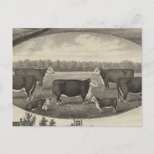 Jackson Farm, Kansas Postkarte (Vorderseite)