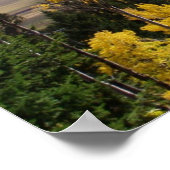 Jackson Hole Series Poster (Ecke)