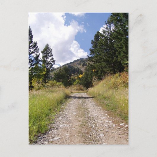 Jackson Hole Wyoming Series Postkarte (Vorderseite)