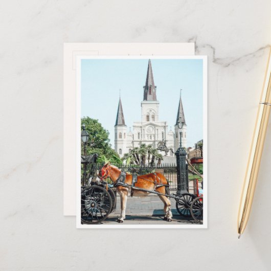 Jackson Square New Orleans Pferd Foto Postkarte (Vorderseite/Rückseite Beispiel)