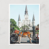 Jackson Square New Orleans Pferd Foto Postkarte (Vorderseite)