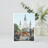 Jackson Square New Orleans Pferd Foto Postkarte (Stehend Vorderseite)