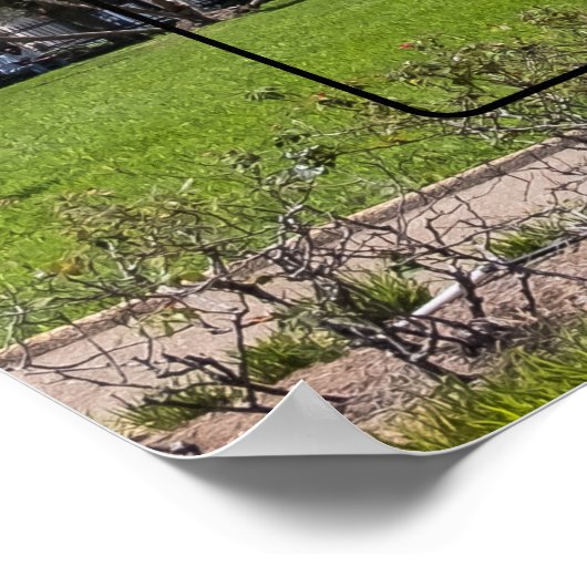 Jackson Square New Orleans Poster (Ecke)