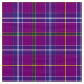 Jackson Tartan Stoff (Nahaufnahme)