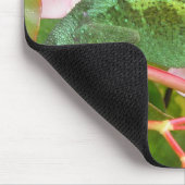 Jacksons Chamäleon Mousepad (Ecke)