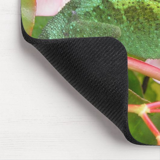 Jacksons Chamäleon Mousepad (Ecke)