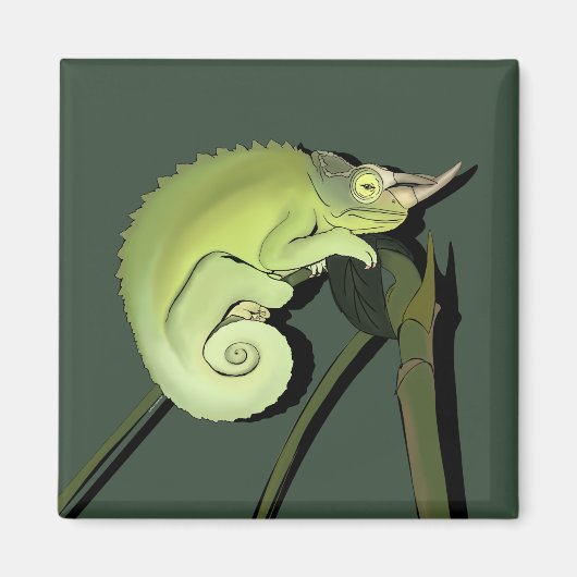 Jackson's Chameleon Magnet (Vorne)