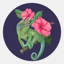 Jackson's Chameleon mit Hibiskus