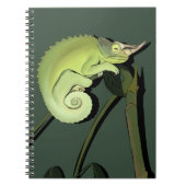 Jackson's Chameleon-Notebook Notizblock (Vorderseite)