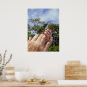 Jackson's Chameleon Poster (Küche)