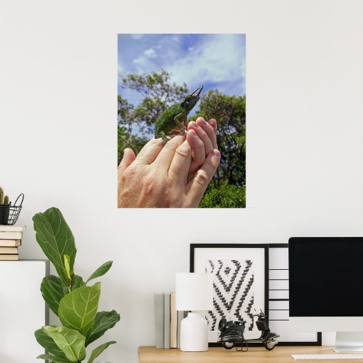 Jackson's Chameleon Poster (Heimbüro)