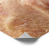 Jackson's Chameleon Poster (Ecke)