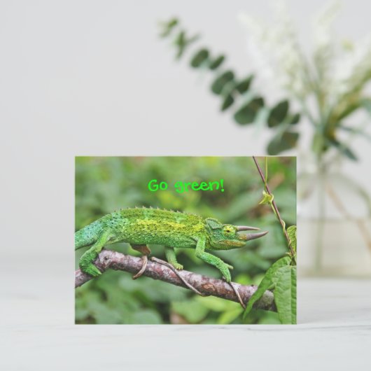 Jacksons Chameleon Postkarte (Stehend Vorderseite)