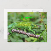 Jacksons Chameleon Postkarte (Vorne/Hinten)