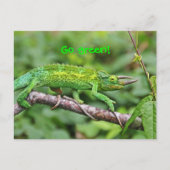 Jacksons Chameleon Postkarte (Vorderseite)