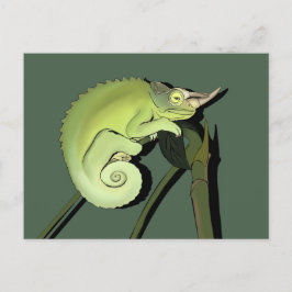 Jackson's Chameleon Postkarte