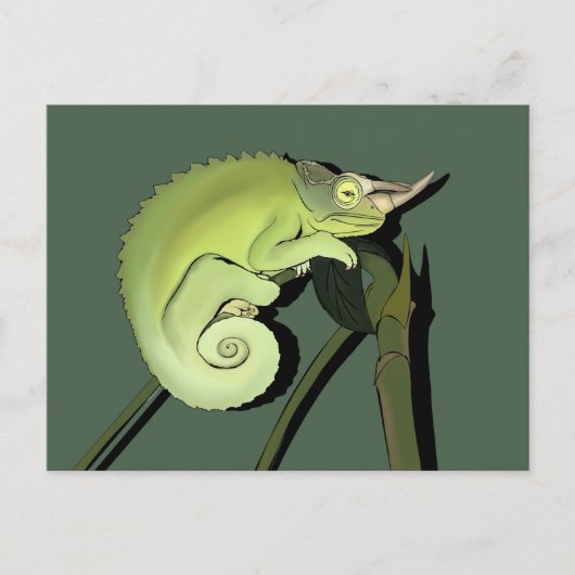 Jackson's Chameleon Postkarte (Vorderseite)
