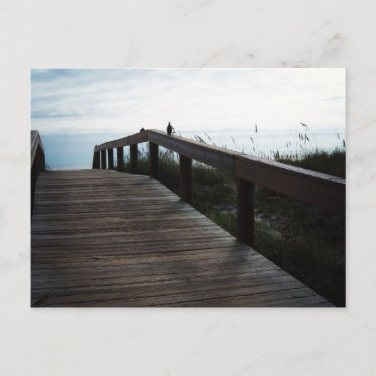 Jacksonville Beach, Florida Postkarte (Vorderseite)