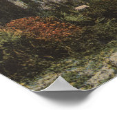 Jacksonville, Florida - Ansicht von John Anderson Poster (Ecke)