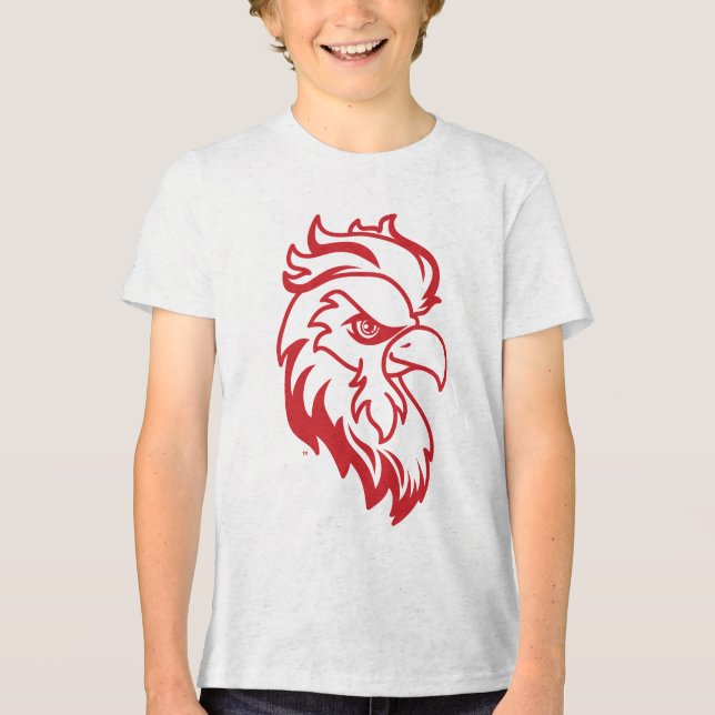 Jacksonville Staat University Gamecocks Red Eagle Tri-Blend Shirt (Vorderseite)