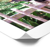 Jacksonville Zoo Poster (Ecke)