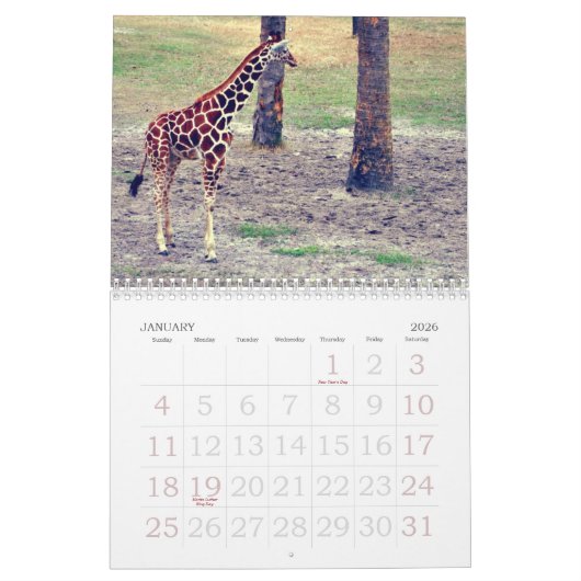 Jacksonville-Zoo und -gärten Kalender (Jan 2026)