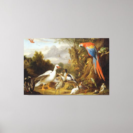 Jacob Bogdani A Macaw Ducks Parrots and Other Bird Leinwanddruck (Vorderseite)