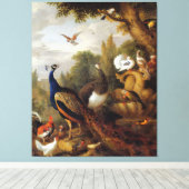 Jacob Bogdani Peacock Peahen Parrots Canary Leinwanddruck (Insitu (Holzboden))