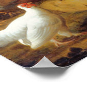 Jacob Bogdani Peacock Peahen Parrots Canary Poster (Ecke)