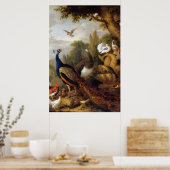 Jacob Bogdani Peacock Peahen Parrots Canary Poster (Küche)