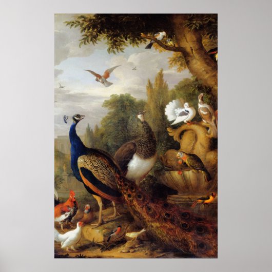 Jacob Bogdani Peacock Peahen Parrots Canary Poster (Vorne)