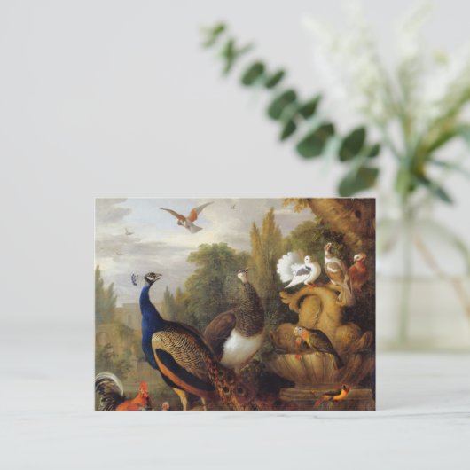Jacob Bogdani Peacock Peahen Parrots Canary Postkarte (Stehend Vorderseite)