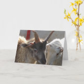 Jacob Crossbred Sheep Karte (Gelbe Blume)