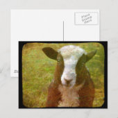 Jacob-Lamm Postkarte (Vorne/Hinten)