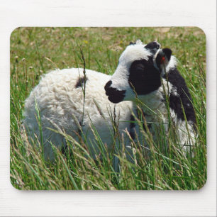 Jacob Ram Lamb Mousepad
