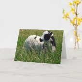 Jacob Ram Lamm Ostern Karte (Gelbe Blume)