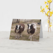 Jacob Sheep Greetings Card Karte (Gelbe Blume)