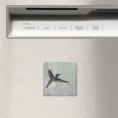 Jacobin Florisuga melivora Costa 2 Magnet (In Situ (Geschirrspüler))
